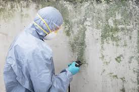 Best Black Mold Removal  in Lindenwold, NJ